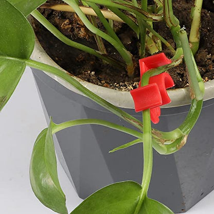 LucyPhy 30 Pack Plant Bender Angle Adjustable Plant Training Clips Low Stress Training Clips 90 Degrees Plant Stem(Circle Style,Red) - color: Red, size: 30Pack