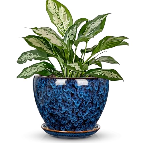 Hollyone 7inch Ceramic Planter Blue Ceramic Plant Pot for Plants Flowers with Drainage Hole and Saucers Ceramic Glaze Round Flower Plant Pot for Indoor Outdoor Medium Round Succulent Orchid Flower Pot - size: 7 Inch (Single)