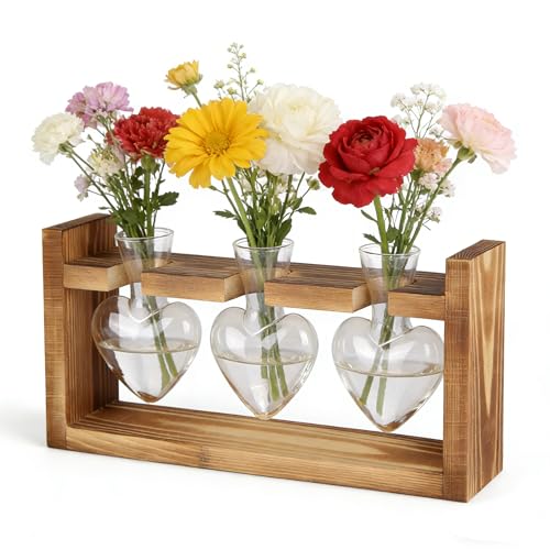 Plant Propagation Station, Heart Shaped Glass Terrarium with Wooden Stand, Gift for Mom, Tabletop Hydroponics Vase for Indoor Plants, Desktop Planter for Pothos Cuttings, 3 Vases Set