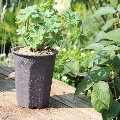 14 Pack 4.40 Inch Plastic Deep Nursery and Seedling Pots, Round Transplant Seed Starter Planter,Gray Color - color: Gray, size: 4.40 inch