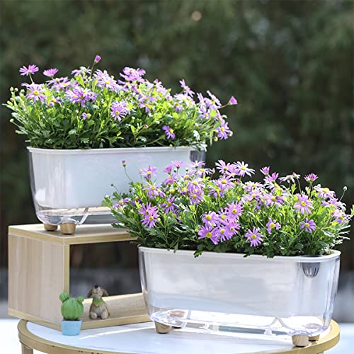 5 Pack Rectangular Planter 11.8 x 4.6 in Self Watering Planter Window Sill Planters Indoor Rectangle Planter Self Watering Pots Plastic Plant pots for African Violet Flower Orchid (Clear, 5)