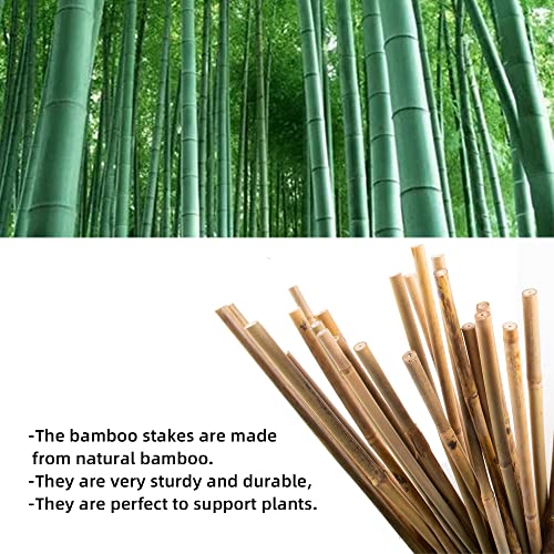 Avalution 10 Pack Natural Bamboo Trellis for Climbing Plants 16" Outdoor Garden Ladder Trellis, Fan -Shaped Plant Support Trellis for Potted Plant - color: Ladder-Shaped, size: 10 PACK-16 inches