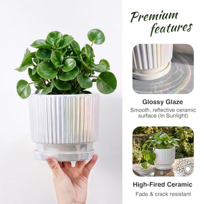 Pearl Plant Pots, Ceramic Flower Pots with Drainage Holes & Saucer Set of 2 - color: 02-brightly White
