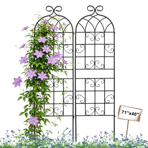 YOBAZAN Metal Garden Trellis 71"x40", Plant Support Trellis - style: 2 Pack