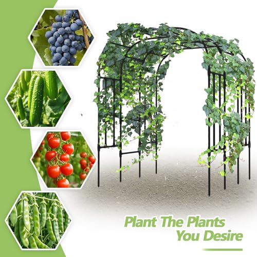 Trellis for Climbing Plants Outdoor - Grape Vine Trellis: 71 * 69 * 79 inch - size: 71(L) * 69(W) * 79(H) inch-20MM