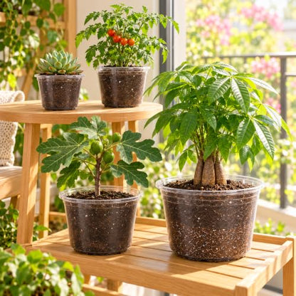 Bluepro Clear Nursery Pots with Drainage Holes, 6/8/10/12 Inch, 20-Pack - size: 6/8/9.5/12 Inch-20Pcs