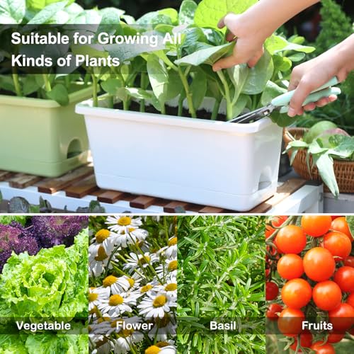 Oliz Window Box Planter 6 Packs, 13.8 Inches Rectangle Flower Pots with Drainage Holes & Trays, Pots for Vegetables, Herbs, Flowers, Garden Windowsill Balcony (White) - color: White