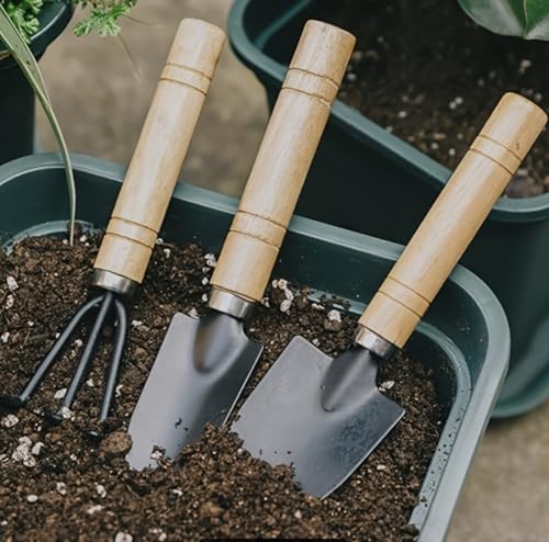 Garden Hand Tool Set, 3-Piece Mini Planting Tools with Wooden Handles, Trowel Rake and Cultivator