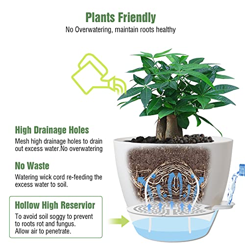 UOUZ 12inch 2Pack Large Self Watering Planters, Plastic Plant Pots with 60oZ Removable Deep Reservoir and Multi Mesh Drainage Holes for Indoor Outdoor Garden Plants and Flowers, White - color: White