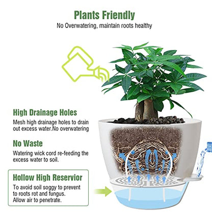 UOUZ 12inch 2Pack Large Self Watering Planters, Plastic Plant Pots with 60oZ Removable Deep Reservoir and Multi Mesh Drainage Holes for Indoor Outdoor Garden Plants and Flowers, White - color: White