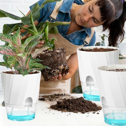 KIMCHOMERSE Self Watering Plant Pots, 6 Inch Indoor Plant Pots 6 Pack - color: White, size: 6 Inch Set of 6