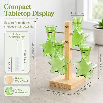 Nacome Plant Terrarium Propagation Stations: Greeen Vase with Wooden Stand - color: Green
