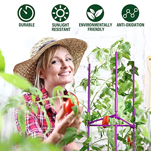 4 Packs Large Tomato Cages for Garden up to 6.5ft Heavy Duty Tomato Plant Trellis with 80 Clips Assembled Plant Support Cages with Adjustable Stake Arms for Vegetables, Climbing Plants (Purple) - color: Purple