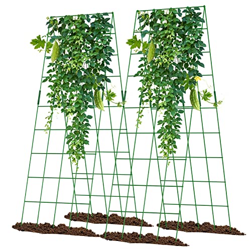 Cucumber Trellis 2 Pack, 59" H Foldable A-Frame Garden Trellis - color: Noble Green, size: 59" H