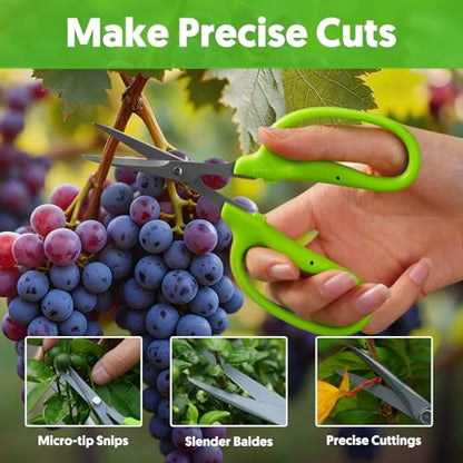 Garden Scissors, 2 PCS, 6-in, Non-Stick Coated Steel, Straight Blades - style: Straight Blade