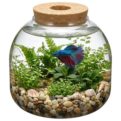 NUOBESTY Glass Terrarium Jar with Cork Lid, Hydroponic Plant Propagation Vase, Clear Round Betta Fish Bowl Tank for Moss Succulent Indoor Desktop Home Decor