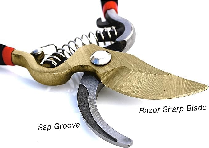 Garden Guru Indestructible Titanium Garden Clippers - Professional Bypass Hand Pruner Pruning Shear with Comfort Grip Handles for Gardening, Trimming, and Yard Work - Hardened Steel & Titanium Blade - size: 1 Pack, style: Titanium Bypass