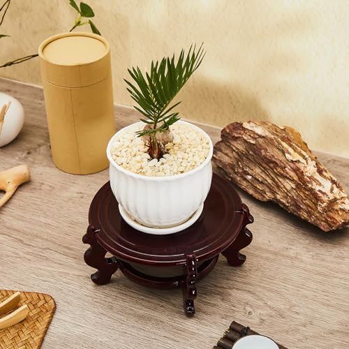 Geetery 2 Pcs 4–12 in Oriental Wooden Plant Stand Indoor Vase Stand, 6 in - size: 6 in