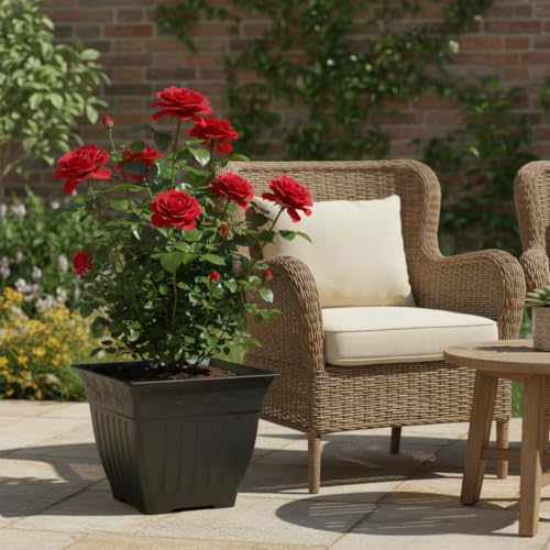 4-Pack 14 Inch Large Square Planters, Embossed Leaf Pattern, Black - color: Black, size: 4P-14 INCH
