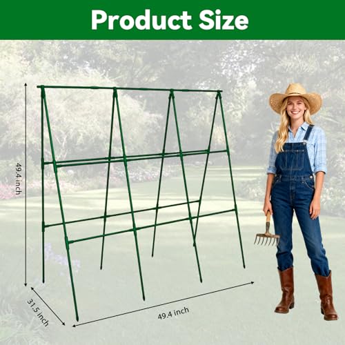 Cucumber Trellis 49.4"*49.4" Metal Garden Trellis for Climbing Plants,Green - size: 50"*32"*50"-G