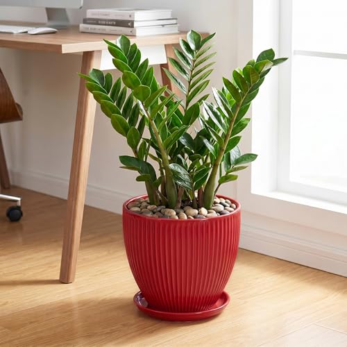 10 Inch Plant Pot, Ceramic Planters with Saucer, Red - color: Red, size: 10 Inch