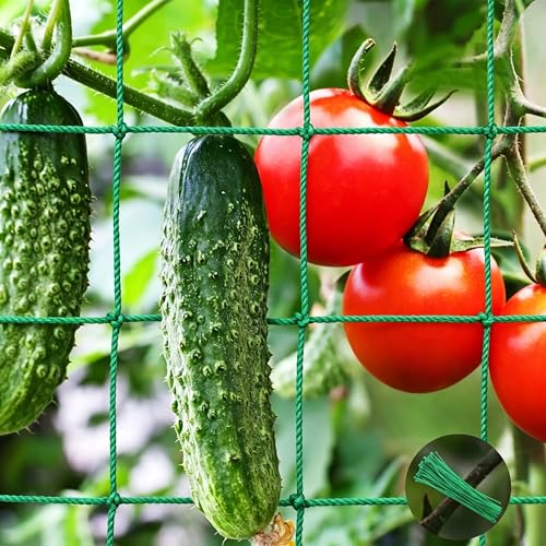 Unves Trellis Netting, 8.2 x 6.6Ft Garden Netting