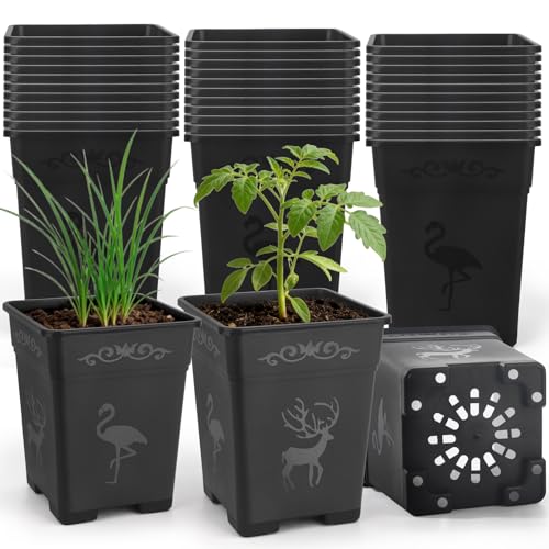 36 Pack 5.5 Inch Square Nursery Pots, Plastic Flower Pots with Drainage, Plant Pots for Plants, Reusable Planting Pots Planter for Seedlings, Transplanting & Indoor Use