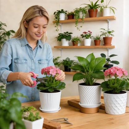 sietpoek 5.5” Ceramic Plant Pots with Drainage and Saucer 4PCs White - size: 5.5 Inch