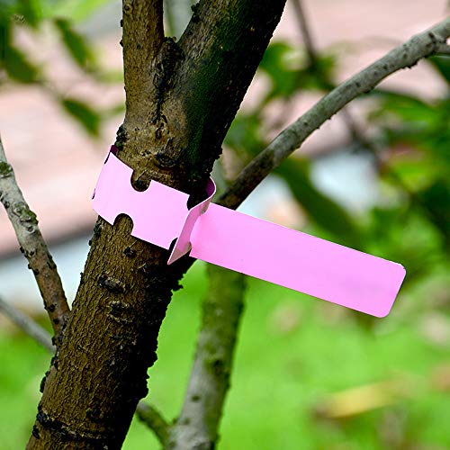 Mziart 200Pcs Plastic Plant Labels Wrap Around Tree Tags, Adjustable Nursery Garden Labels Plant Tags with Large Writing Surface, White (Pack of 2) - size: 7.87 x 0.79inch (Pack of 2)