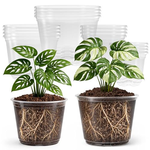 Bluepro Clear Nursery Pots with Drainage Holes, 5/6/8/10 Inch, 16-Pack - size: 5/6/8/10 Inch-16Pcs
