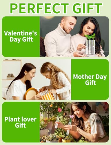 8 Tube Glass Plant Propagation Stations, Clear - color: Clear 8 Pcs