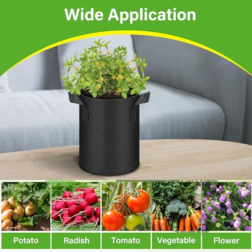 HealSmart 6-Pack 1 Gallon Grow Bags, Nonwoven Aeration Fabric Pots with Handles, Cloth Plant Pots, Suitable for Garden Fruits, Vegetables, Tomato and Flowers, Black - color: Black 6 Pack, size: 1 Gallon
