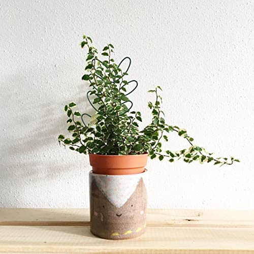 2Pack Indoor Plant Trellis Metal Wire Garden Trellis ，Small Climbing Leaf Shape Trellis for Garden Potted Plant Houseplant(Blackish) - color: Blackish