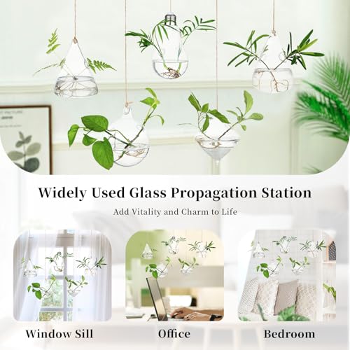 Glasseam Hanging Plant Propagation Station: 5Pcs Small Glass Terrarium Jars
