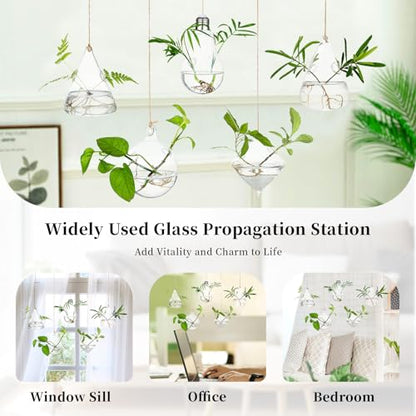Glasseam Hanging Plant Propagation Station: 5Pcs Small Glass Terrarium Jars