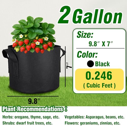 12-Pack 2 Gallon Grow Bags - size: 2 Gallon