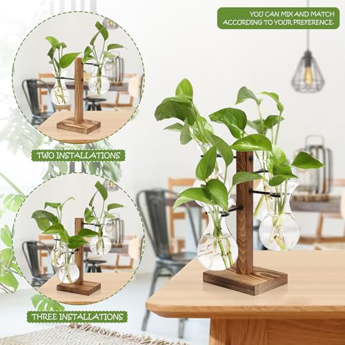Plants Propagation Stations Bulb Glass Propagation Birthday Gift for Women - color: Transparent