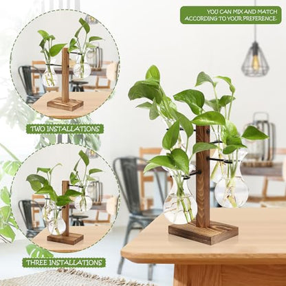 Plants Propagation Stations Bulb Glass Propagation Birthday Gift for Women - color: Transparent