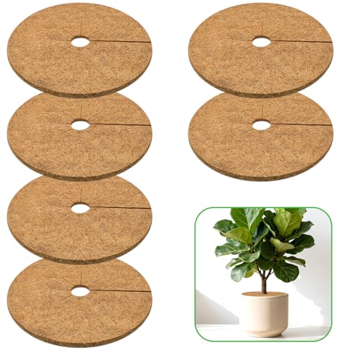 ZeeDix 14 Inch Coconut Fiber Tree Ring Mulch Mat, 6 Pack Tree Mulch Ring - color: 6 Pack, size: 14 Inch