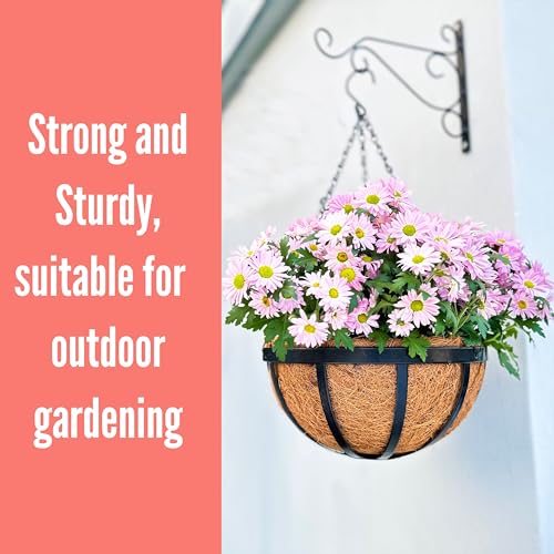 LaLaGreen Coco Hanging Baskets (10 in, 2 Pack) Black Iron Plant Pot Holder - size: 10" (25cm) x 2 Pack