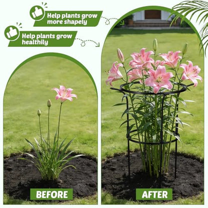 VICAMB 3 Pack Large Peony Cages and Supports,28" H x 17" D Grow Through Plant Support Rings,Plastic Rings with Stainless Steel Core Stakes for Peonies,Roses and Top-Heavy Blooms