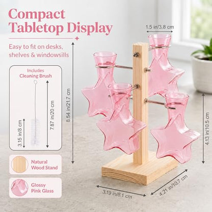 Nacome Plant Terrarium Propagation Stations: Pink Vase with Wooden Stand - color: Pink