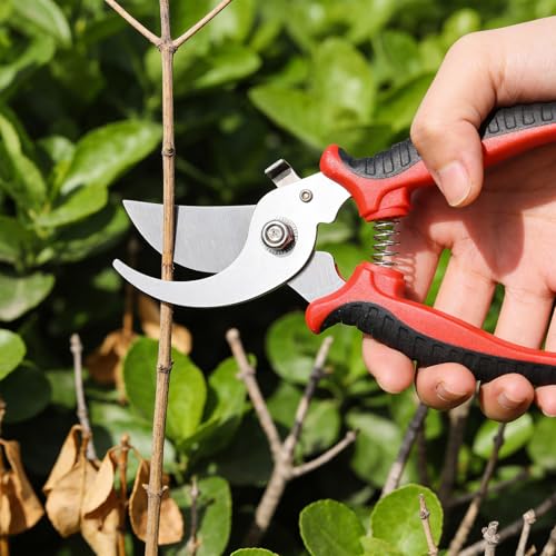 10 Pcs Garden Shears Pruning Garden Clippers Bulk Bypass Pruner Heavy Duty for Gardening Hedge Plant Cutting Flower Scissors for Rose, Tree Trimming & weak Hand, Heavy Duty Pruning Scissor