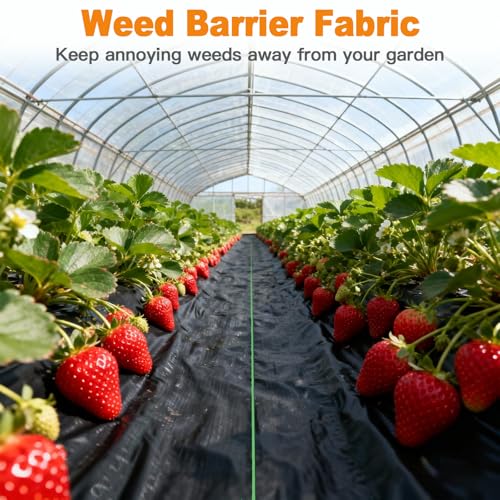 AMAGABELI 4ft x 50ft Weed Barrier Landscape Fabric 5.8oz Dual Sided Garden Cloth Heavy Duty Weed Control Blocker Mat Gardening Ground Cover Durable Woven Geotextile Fabric Driveway Underlayment - size: 4x50ft
