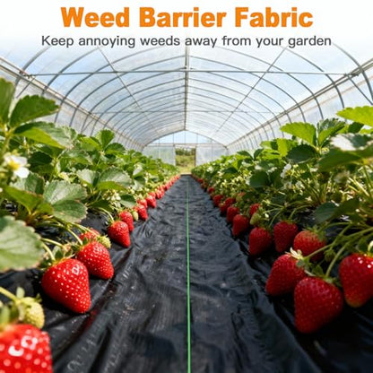 AMAGABELI 4ft x 50ft Weed Barrier Landscape Fabric 5.8oz Dual Sided Garden Cloth Heavy Duty Weed Control Blocker Mat Gardening Ground Cover Durable Woven Geotextile Fabric Driveway Underlayment - size: 4x50ft