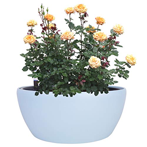 Vencer 11 Inch Plastic Round Self Watering Planter,Water Indicator,Modern Decorative Planter Pot for All House Plants Flowers, Herbs, Vegetables, Tropical,Ice Blue,VF-048B - color: Blue
