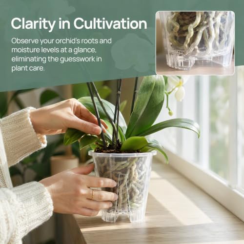 Clear Orchid Pots, 6.3inch-10pack - size: 6.3inch-10pack