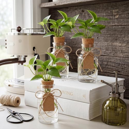 15 Pack Plant Propagation Stations with Hole Lid Tag,Cylindrical