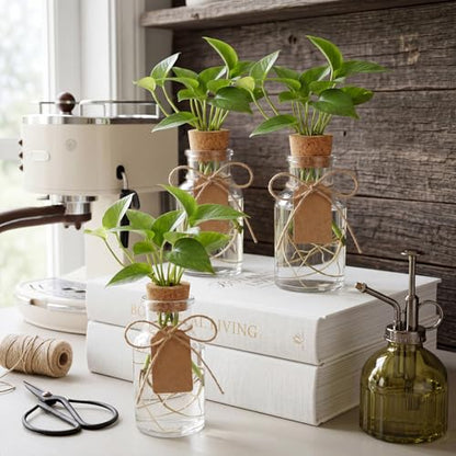 15 Pack Plant Propagation Stations with Hole Lid Tag,Cylindrical