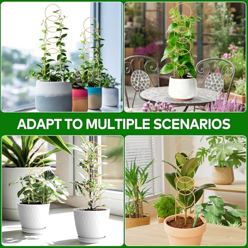17.5 Inch Plant Trellis Indoor for Climbing Plants, Metal Small Trellis for Potted Plants, Plant Stakes for Indoor Plants, Plant Support for Hoya Flower Vine, Gold 2PCS